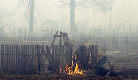 Putin sa thải Bộ trưởng Lâm nghiệp